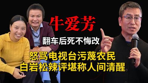 电视台爆料牛爱芳视频,揭秘背后惊人真相